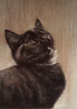 To All The Little Ones