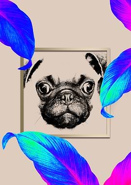 Colourful Pug Dog Style