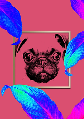 Colourful Pug Dog Style