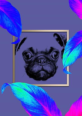 Colourful Pug Dog Style