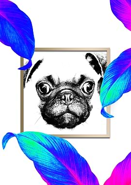 PUG Style Colourful Pop