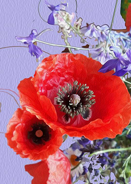 Poppy flower meltdown