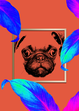 Colourful Pug Dog Style