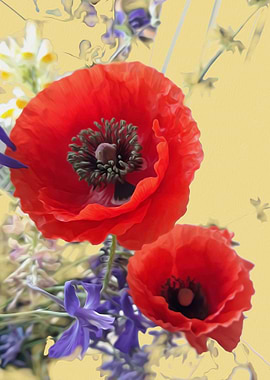 Poppy melting in the sun