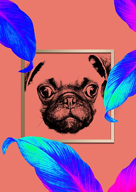 Colourful Pug Dog Style