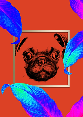Colourful Pug Dog Style