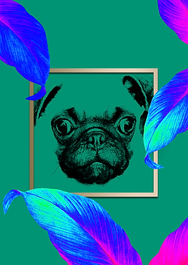 Colourful Pug Dog Style