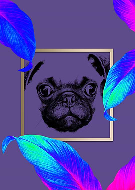Colourful Pug Dog Style
