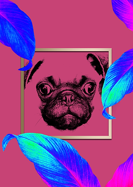 Colourful Pug Dog Modernis