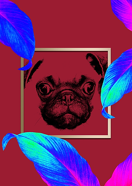 Colourful Pug Dog Style