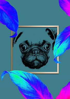 Colourful Pug Dog Style
