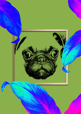 Colourful Pug Dog Style