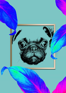 Colourful Pug Dog Modernis