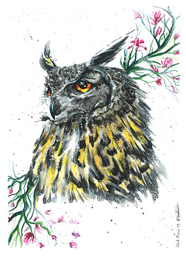 Eagle Owl