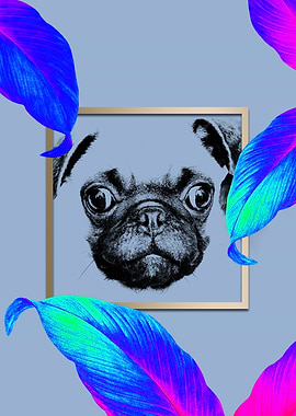 Colourful Pug Dog Modernis