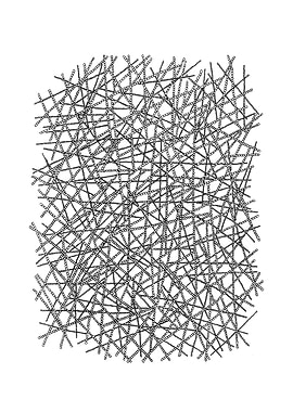 Under the Microscope