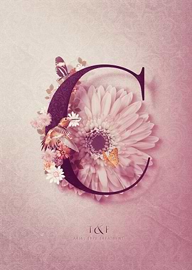 Aria Alphabet Letter C