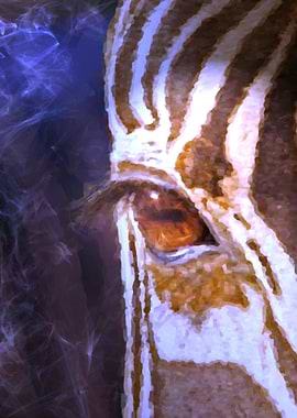 Soul Of The Zebra