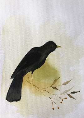 Blackbird