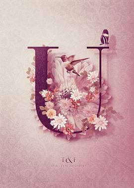 Aria Alphabet Letter U