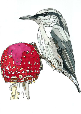 Bird and mushroom