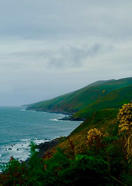 IRISH BEACH VIEWS
