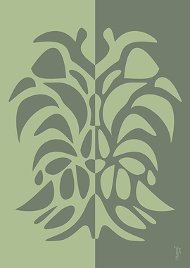 Curves and Movements