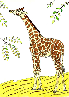 Giraffe