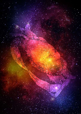 Cancer Zodiac
