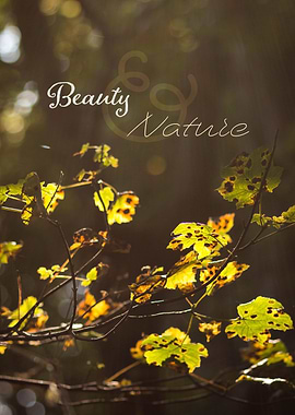 Beauty and Nature
