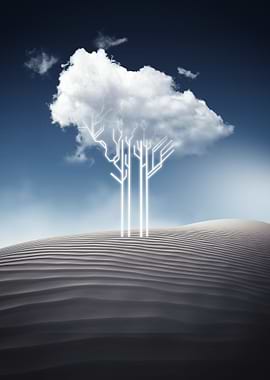 Tree cloud desert