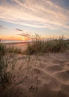 Holkham Beach Sand Dunes