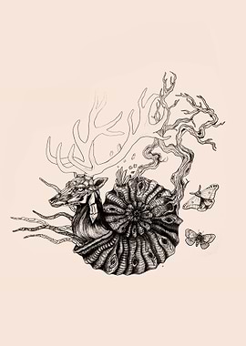 Ammonite and deer