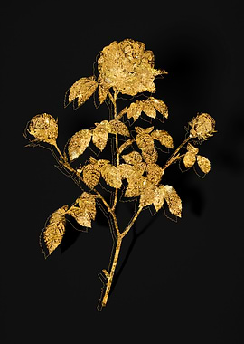 Gold Flora on Black