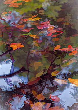 autumn reflection on lake