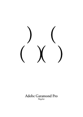 Adobe Garamond Pro