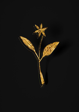 Gold Flora on Black