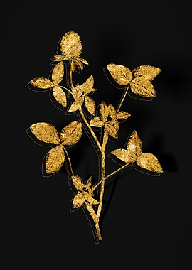 Gold Flower on Black