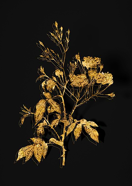 Gold Flora on Black