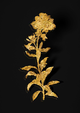 Gold Flower on Black