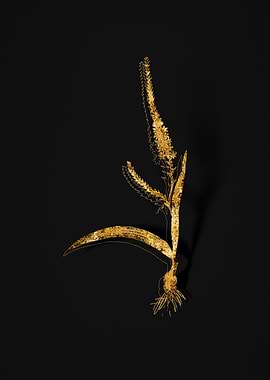 Gold Flower on Black