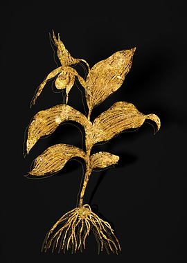 Gold Flower on Black