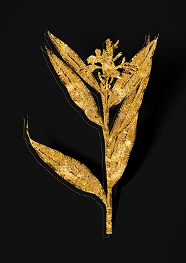 Gold Flower on Black