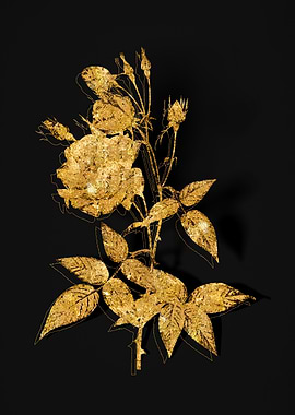 Gold Botanical on Black