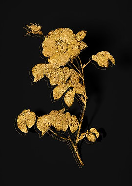 Gold Flower on Black