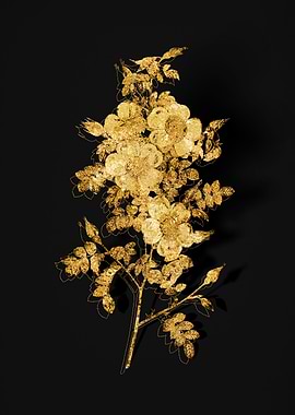 Gold Botanical on Black