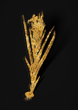 Gold Floral on Black