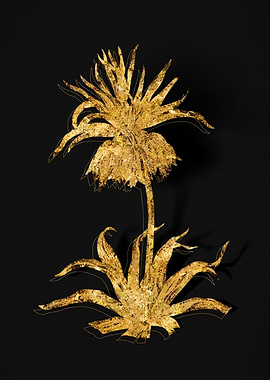 Gold Floral on Black