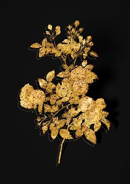 Gold Botanical on Black