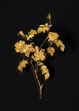 Gold Botanical on Black
